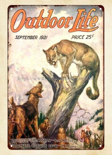 Pancarte métallique en étain « - Outdoor Hunting Dogs avis et prix
