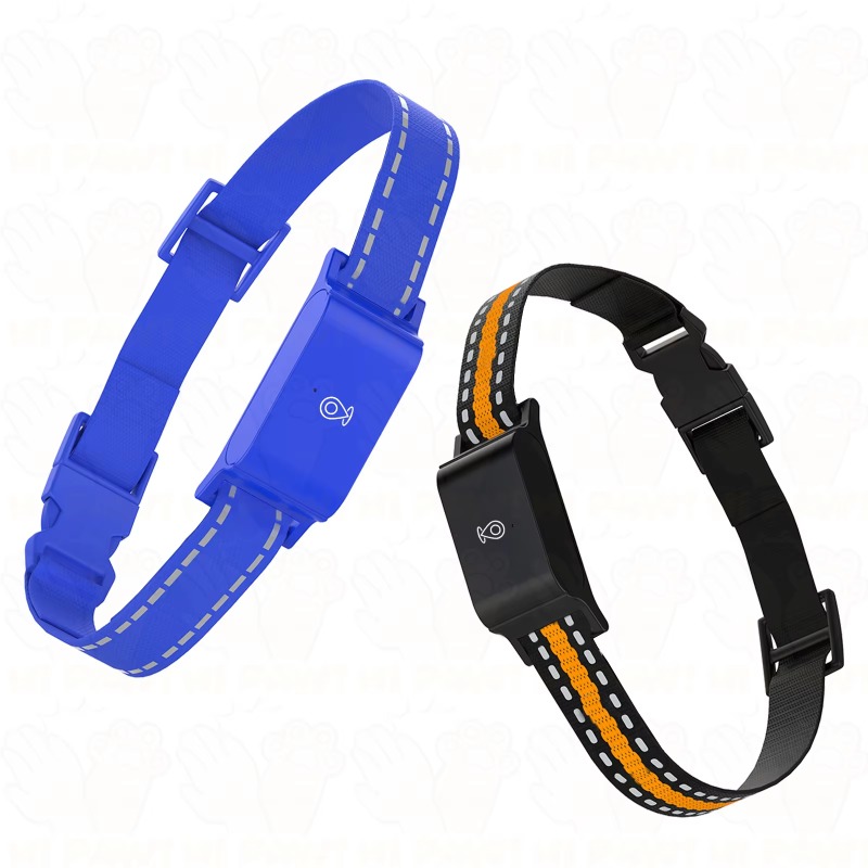 Traceur GPS pour chien, dispos - Outdoor Hunting Dogs avis et prix
