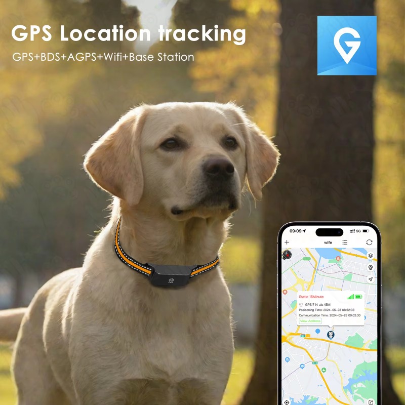 Traceur GPS pour chien, dispos - Outdoor Hunting Dogs avis et prix