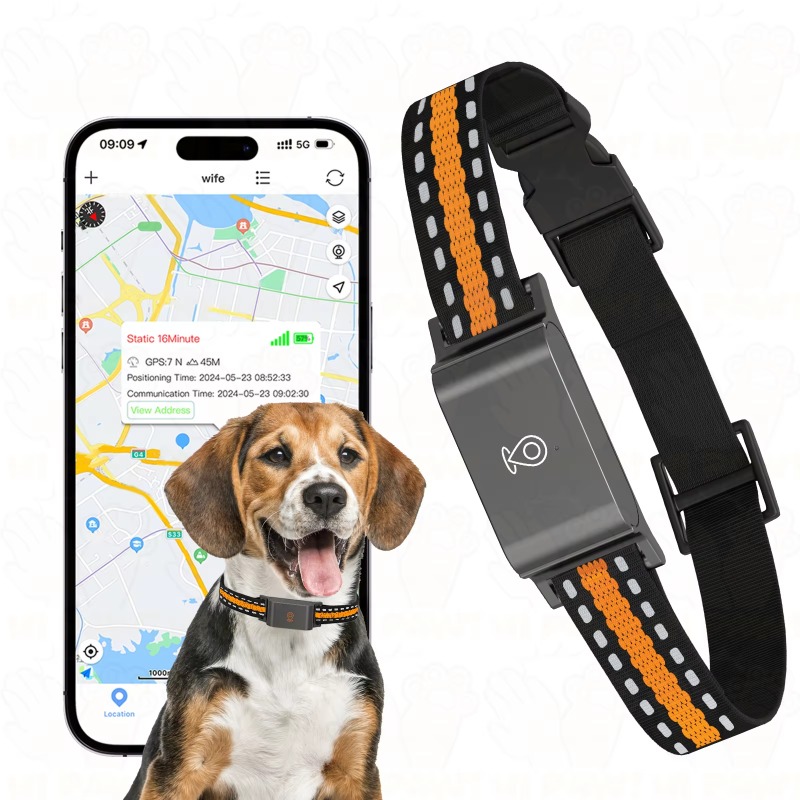 Traceur GPS pour chien, dispos - Outdoor Hunting Dogs avis et prix